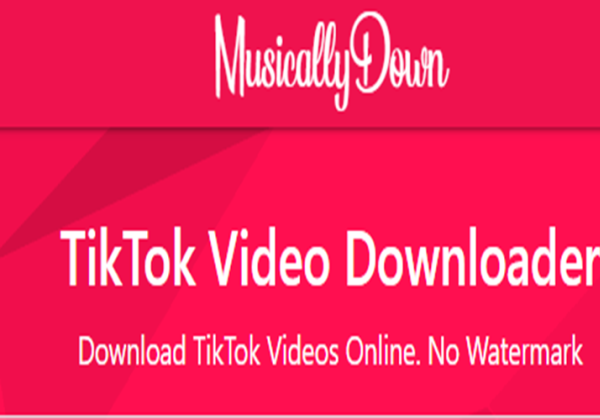 Cara Download Video TikTok Tanpa Watermark, Gampang Banget Tanpa Perlu Aplikasi!