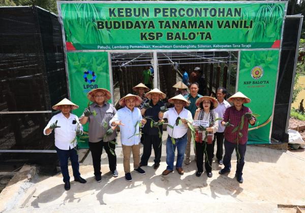 Bidik Potensi Sektor Riil, LPDB-KUMKM Dampingi KSP Balo' Toraja Garap Komoditi Vanili dan Kopi