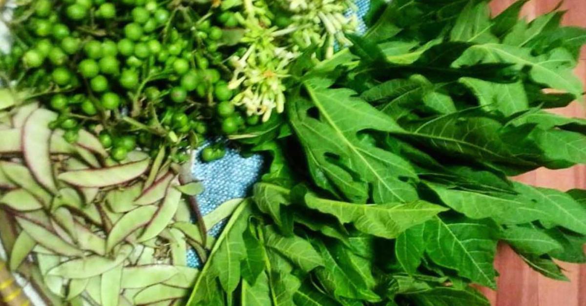 Manfaat Daun Pepaya Yang Membuat Tubuh Menjadi Sehat, Yuk Simak!