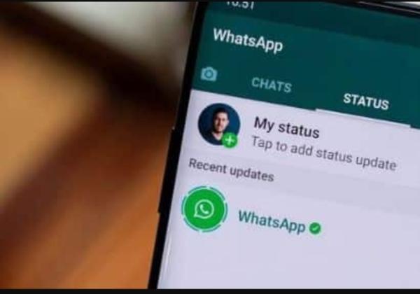 Begini Cara Setting WhatsApp Proxy, Bisa Tetap Online Meskipun Tak ada Jaringan Internet
