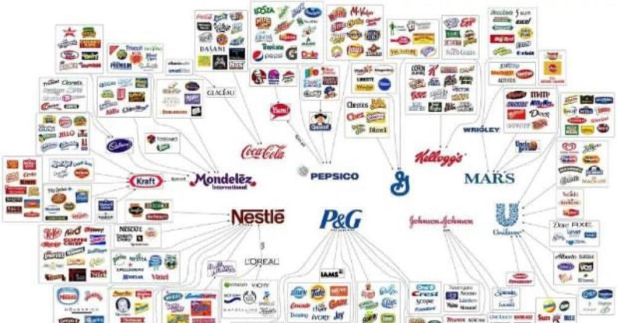Berikut Daftar Brand dan Merk Shampo Asal Israel yang Diharamkan MUI