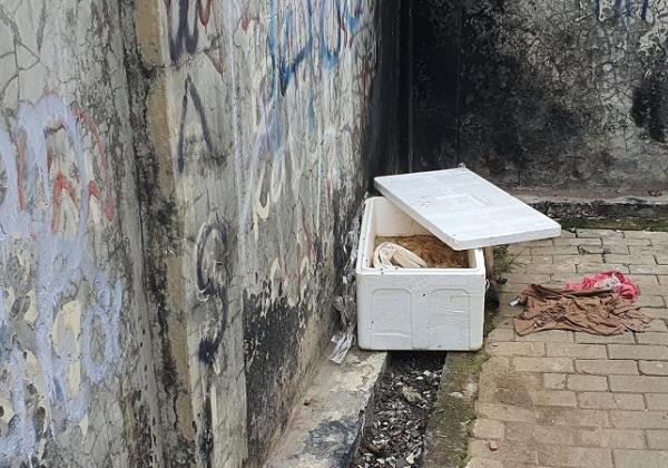 Warga Gang Strada 2 Bekasi Dihebohkan Penemuan Kotak Berbau Bangkai, Isinya Tak Terduga