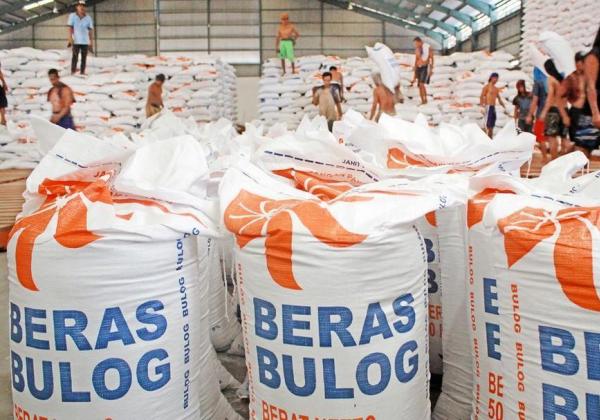 Penyelewengan 350 Ton Beras Bulog di Banten, Buwas: Yang Saya Sampaikan Terbukti Hari Ini 