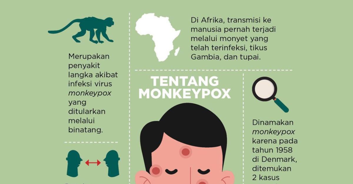 Meningkatnya Kasus Cacar Monyet Di Jakarta, Inilah Gejala Serta Penyebab Dan Cara Mengatasinya