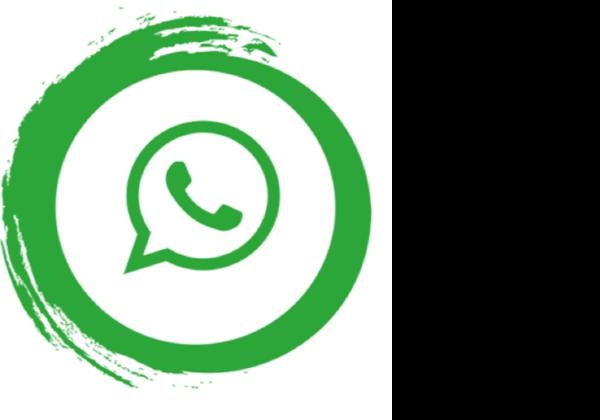 Link GB WhatsApp Pro Apk v17.30, Download di Sini Hanya 56 MB Gratis!