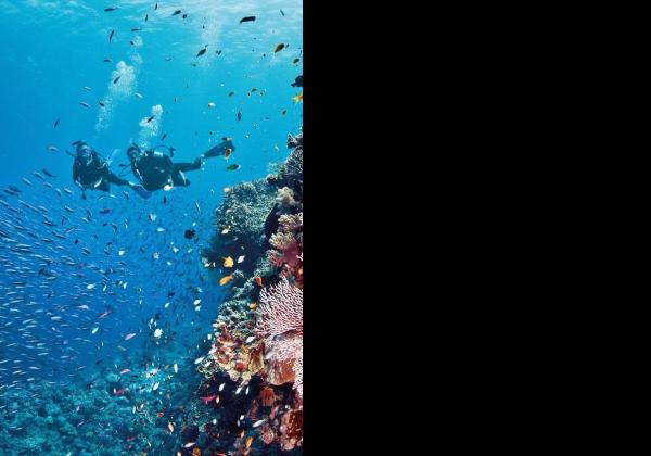 7 Tempat Wisata Air di Klaten Mulai dari Umbul Ponggok hingga Umbul Kapilaler