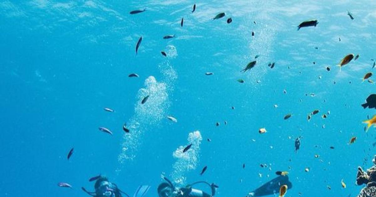 7 Tempat Wisata Air di Klaten Mulai dari Umbul Ponggok hingga Umbul Kapilaler