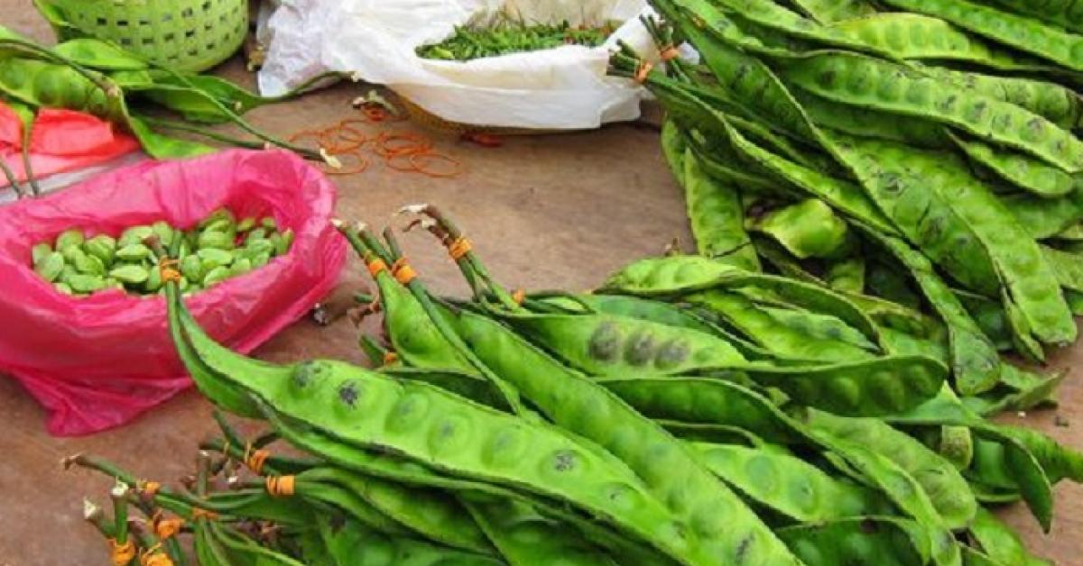 Siapa Suka Petai? Gak Masalah Dikonsumsi Ibu Hamil, Ini manfaatnya
