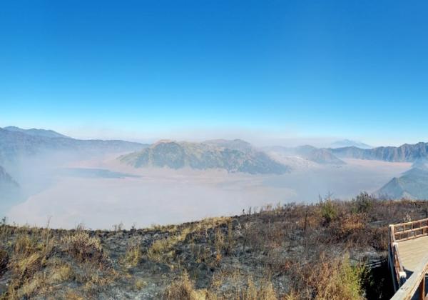 Kebakaran Hutan Terjadi di Bukit Teletubies Gunung Bromo, Sebagian Kawasan Wisata Ditutup