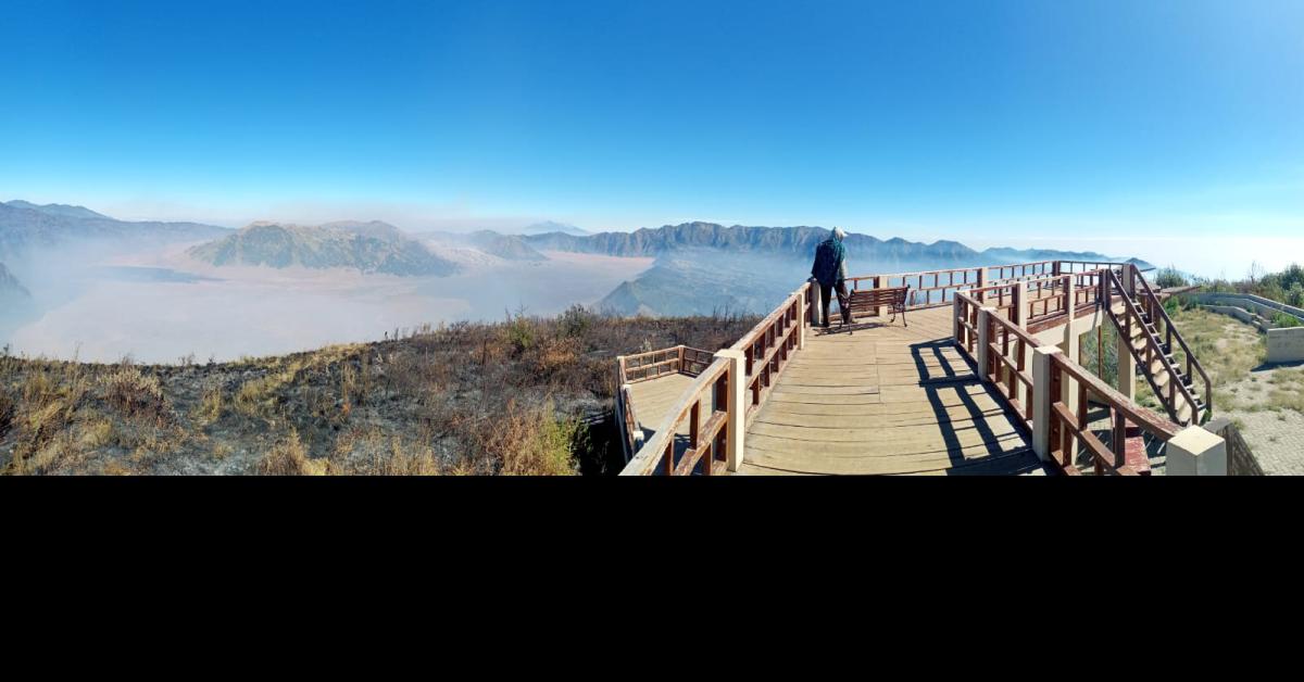Kebakaran Hutan Terjadi di Bukit Teletubies Gunung Bromo, Sebagian Kawasan Wisata Ditutup