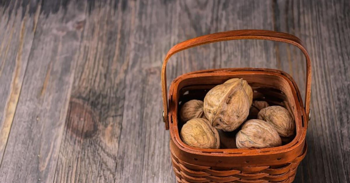 Makan Kacang Kenari Turunkan Risiko Kanker