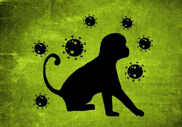 Jangan Seperti COVID-19, Wabah Cacar Monyet Harus Diwaspadai Pemerintah Sejak Dini