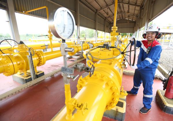 Hadapi Tantangan Bisnis, PGN Optimalkan Kontribusi Bisnis Upstream hingga Downstream Migas