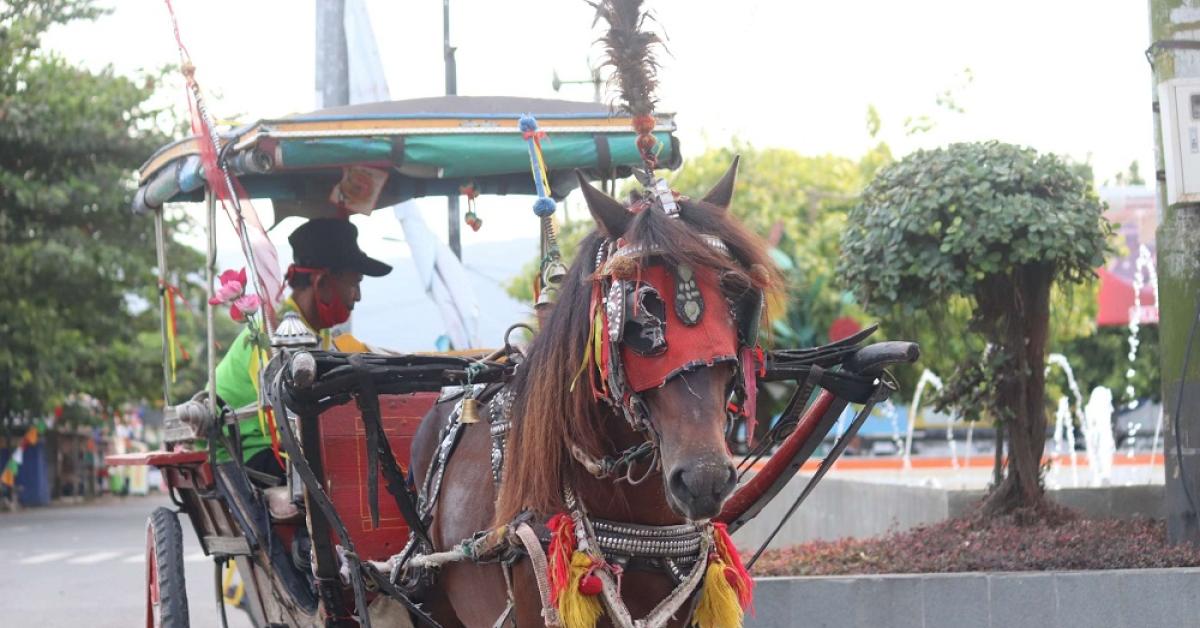 Tok! Delman Monas hanya Boleh Operasi Sabtu-Minggu, Maksimal 4 Penumpang
