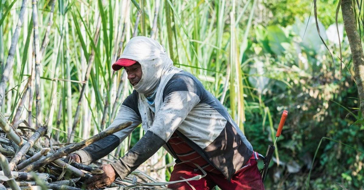 LPDB-KUMKM Buka Akses Pasar Petani Tebu dengan BUMN Pangan
