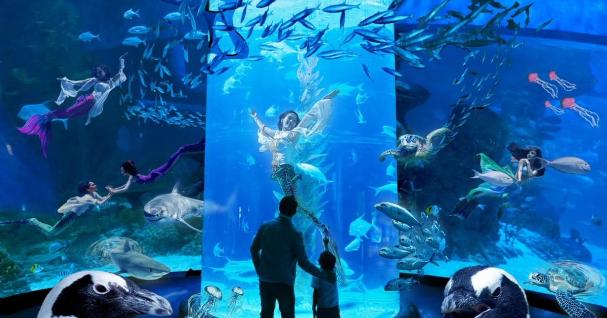 Destinasi Wisata Edukasi Jakarta Aquarium, Jelajahi Kehidupan Laut dengan Cara Yang Unik!