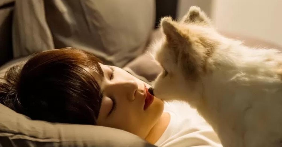 Drakor A Good Day to Be a Dog Episode 5 Batal Tayang, Ternyata Ini Alasannya