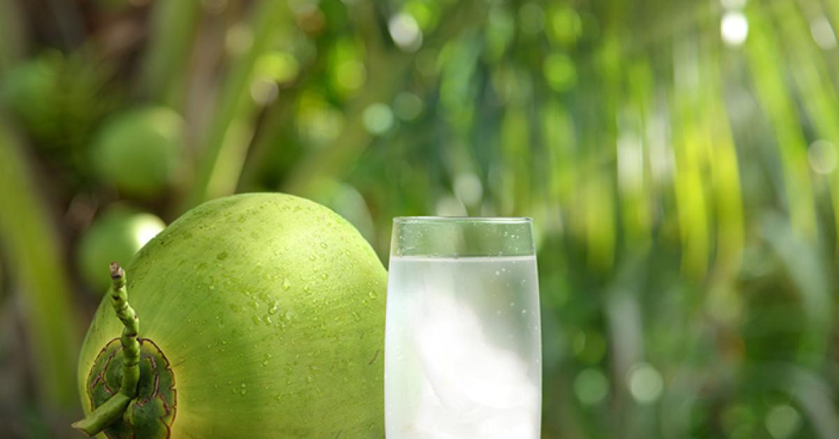 Kelapa Hijau, Bisa Atasi Diare, Cek Faktanya 