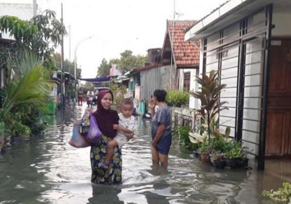 Ratusan Rumah Terendam Banjir Rob, BMKG Minta Masyarakat Tetap Waspada