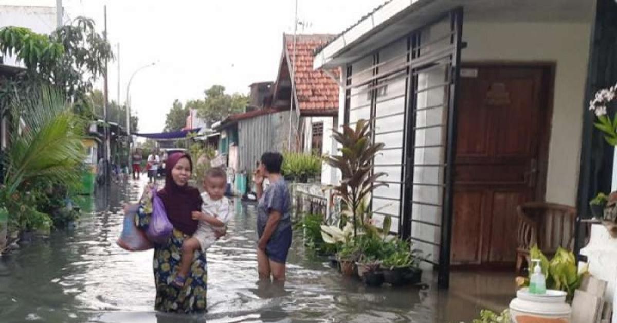 Ratusan Rumah Terendam Banjir Rob, BMKG Minta Masyarakat Tetap Waspada