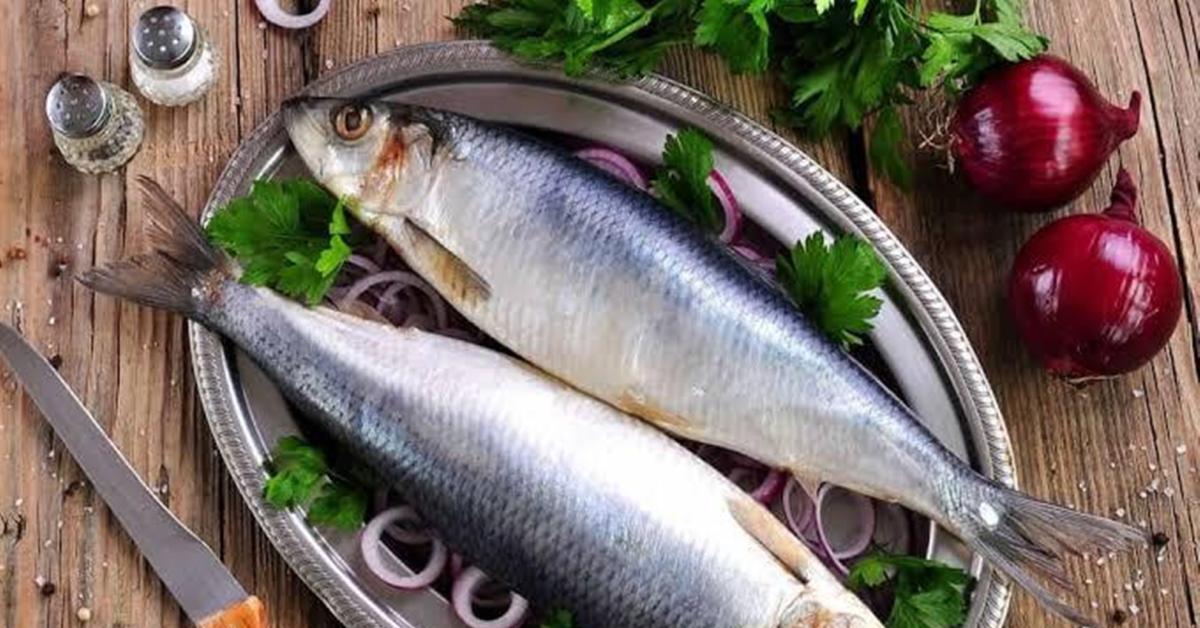 Kamu Wajib Waspada! Berikut 5 Ikan yang Harus Di Pantang Penderita Darah Tinggi