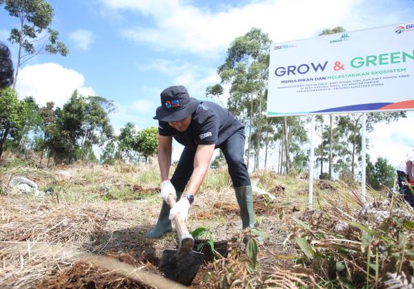 Jaga Kelestarian Danau Toba, BRI Peduli “Grow & Green” Tanam 2.500 Bibit Pohon di Samosir