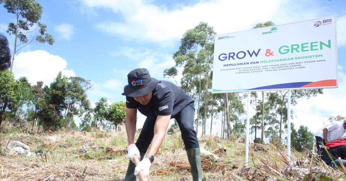 Jaga Kelestarian Danau Toba, BRI Peduli “Grow & Green” Tanam 2.500 Bibit Pohon di Samosir