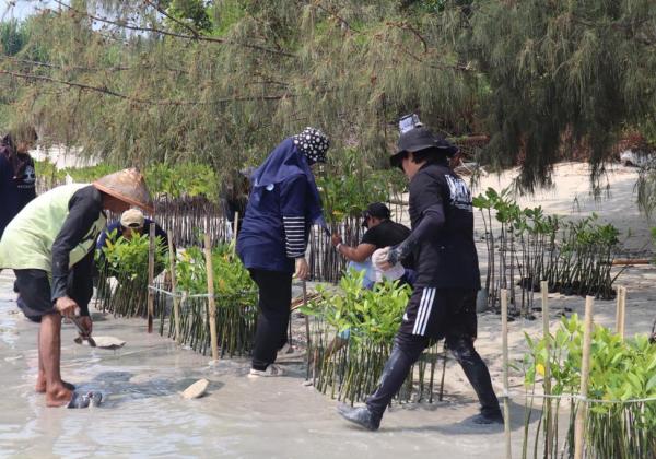 Dukung Upaya Pemerintah Bebas Emisi Karbon, BRI Kembali Tanam Puluhan Ribu Bibit Mangrove di Pulau Tidung