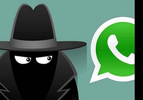 Cara Gunakan Social Spy WhatsApp Hanya dengan Nomor WA Bisa Login Akun Orang Lain