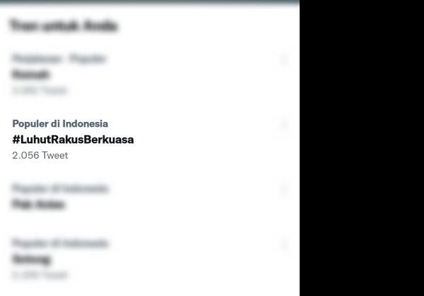 Sebut Indonesia akan Lebih Baik Jika Jokowi Tambah 3 Tahun, Tagar #LuhutRakusBerkuasa Trending