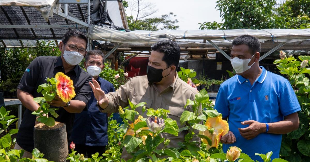 Kementerian BUMN dan BRI Berdayakan Klaster Tanaman Hias Desa Bunga