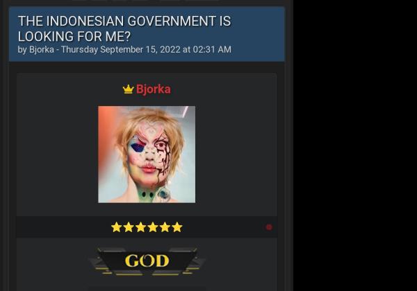Tanggapi Penangkapan Pemuda Madiun, Hacker Bjorka Sebut Pemerintah Indonesia Idiot