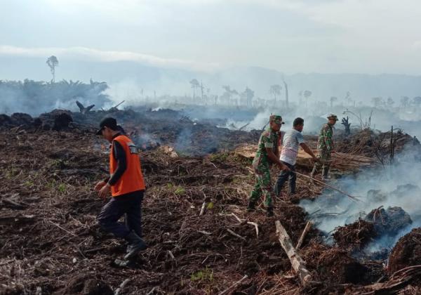  Waspada Kebakaran Hutan dan Lahan, 31 Titik Panas Terdeteksi di Sumatera