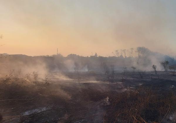 Lahan Kosong Sebelah Kampus di Bekasi Terbakar, Cuaca Panas Membuat Petugas Damkar Sulit Memadamkan Api