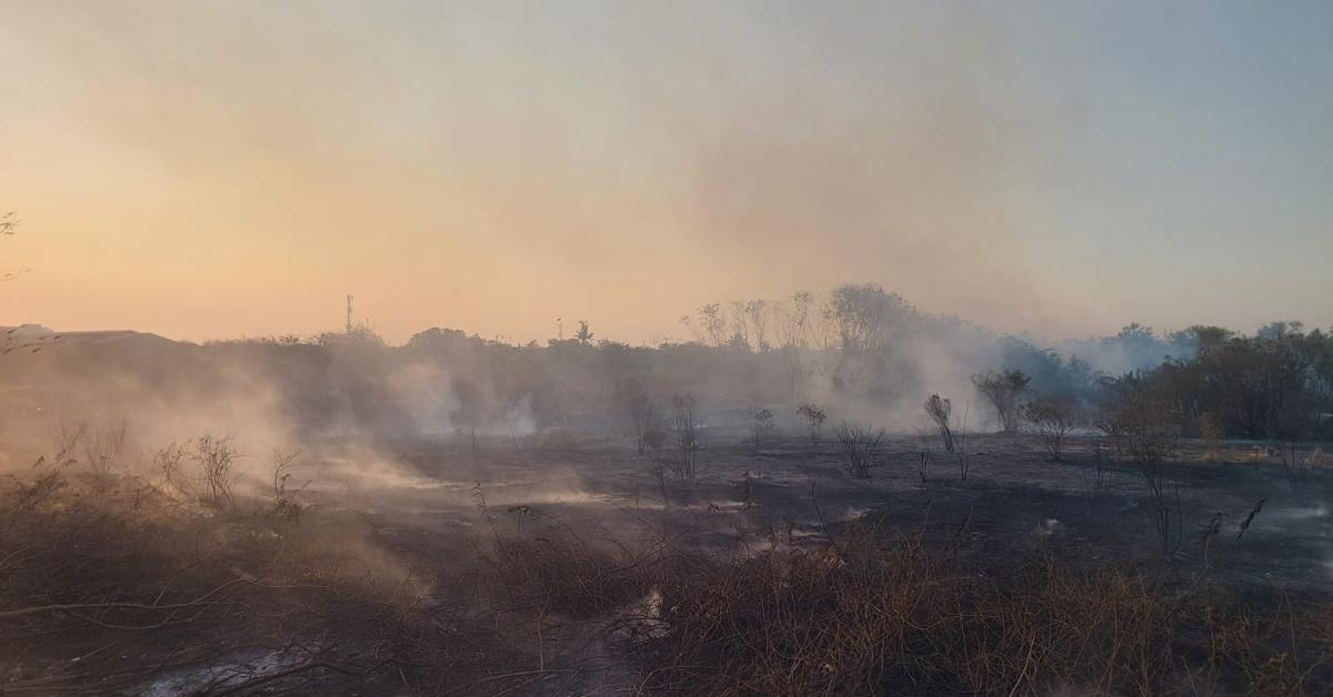 Lahan Kosong Sebelah Kampus di Bekasi Terbakar, Cuaca Panas Membuat Petugas Damkar Sulit Memadamkan Api