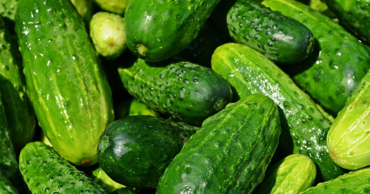 Wajib Dicoba! 8 Manfaat Timun yang Perlu Kamu Ketahui