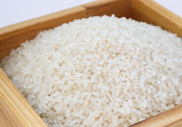 Alasan untuk Beralih ke Beras Shirataki jika Anda Diabetes