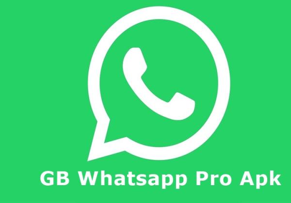 Download GB WhatsApp Pro Apk v19.30, Kapasitas Penyimpanan Hanya 48.98 MB!