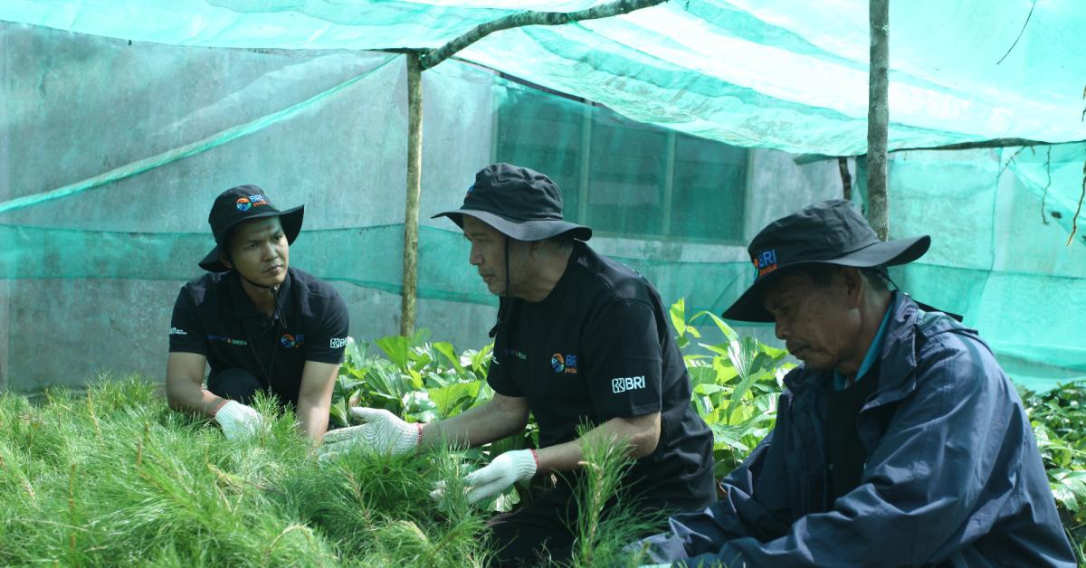 BRI Peduli “Grow & Green” Tidak hanya Lestarikan Alam, namun Juga Serap Tenaga Kerja