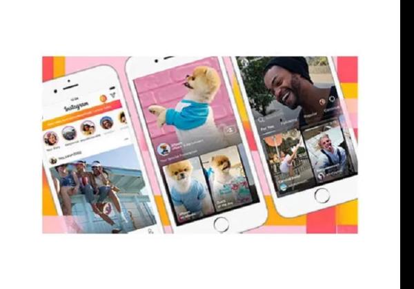 Snapinsta App: Download Instagram Story, Foto, Reel, IGTV Tanpa Aplikasi 
