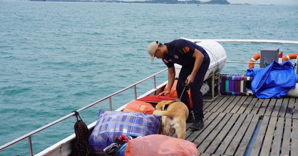 Gelar Patroli Pandawa, Bea Cukai Batam Amankan Kapal Bermuatan Barang Ilegal