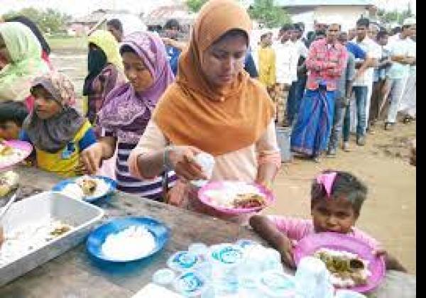 Kini 249 Imigran Rohingya Mendarat di Bireuen Aceh