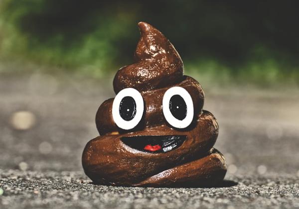 Poop Anda Berwarna Kehitaman? Ini Penyebabnya