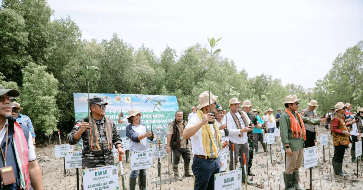 PLN Tanam Ribuan Mangrove, Rehabilitasi Pesisir Tanah Merah dan Menipo di NTT