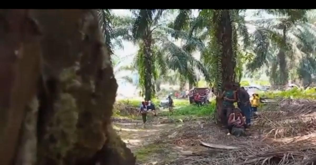Bak Medan Perang, Video Warga Bangkal Diberondong Peluru Aparat, Satu Orang Tewas!
