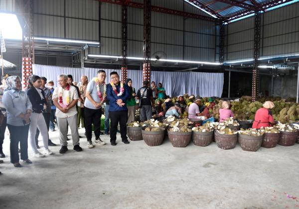 KemenKopUKM: Ekosistem Bisnis Kondusif Penting agar Durian Lokal Mampu Bersaing di Pasar Global