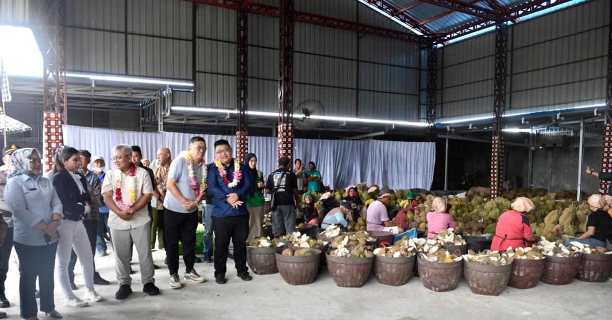 KemenKopUKM: Ekosistem Bisnis Kondusif Penting agar Durian Lokal Mampu Bersaing di Pasar Global
