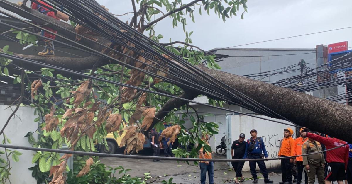 Pohon Tumbang Hampir Menimpa Kendaraan di Jatiasih Kota Bekasi, Imbas Hujan Deras dan Angin Kencang