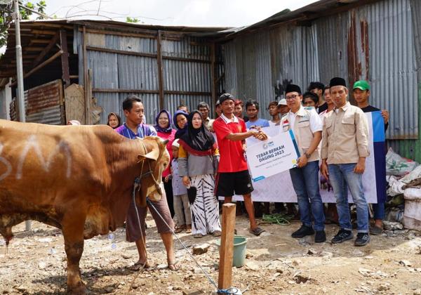 Idul Adha, YBM PLN Salurkan 1.444 Hewan Kurban ke Seluruh Indonesia