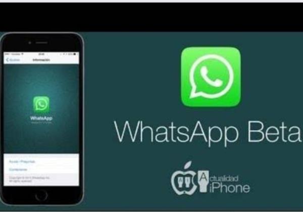Update Terbaru Link WhatsApp Beta APK! Banyak Fitur Andalan dan Anti Banned